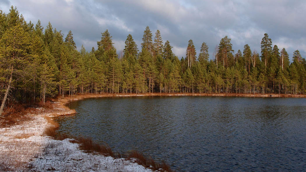 Sjöstranden på hösten, skog runt. Lite snö på marken.