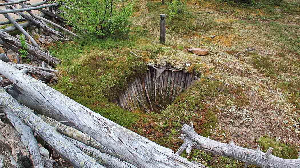 Det finns en grop mitt i bilden och det finns lavar runt gropen.