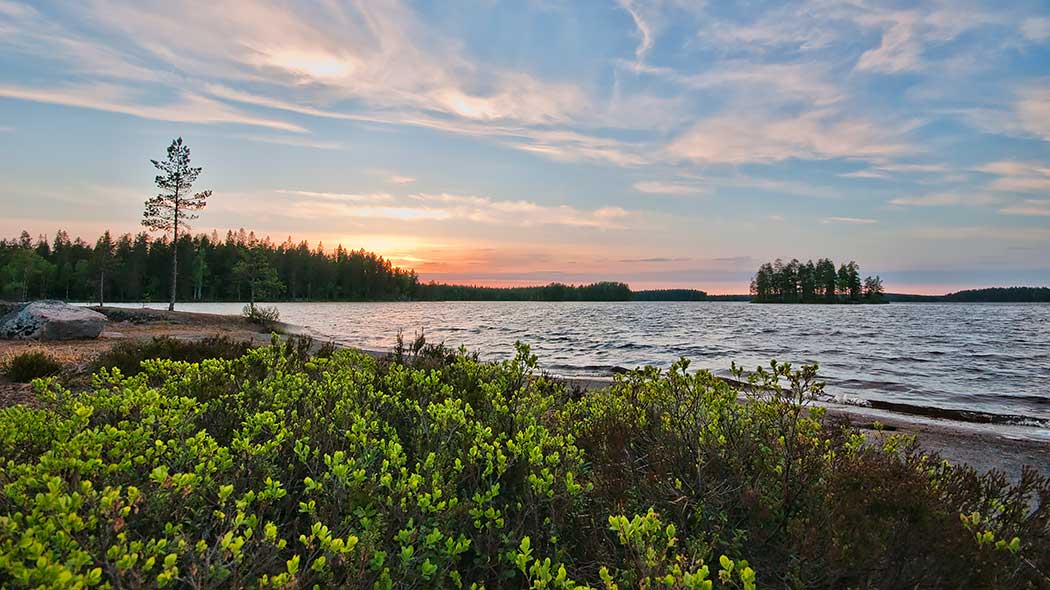 Sjöns strand. Längre bort öppet vatten