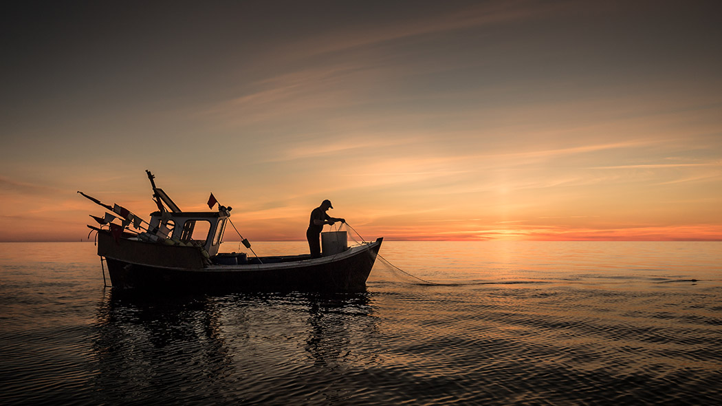 En fiskare jobbar med ett nät i en fiskebåt. Solen går ner, havet är lugnt.