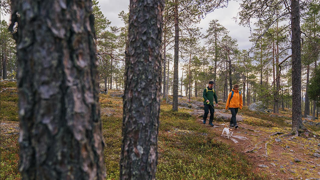 Två personer, varav en går med hund, går med ryggsäckar på en stig i en stenig terräng mitt i en skog.