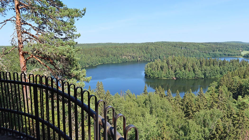 Utsikt över skogen och sjölandskapet.