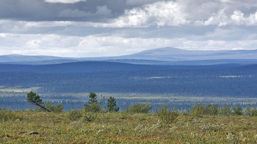 Låg växtlighet kan ses på sluttningen i förgrunden, slutet av sluttningen kan ej ses i bild. Nedanför finns myrar med skog emellan. I bakgrunden finns höga fjälltoppar.