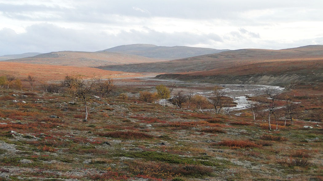 Ån rinner i fjälllandskapet.