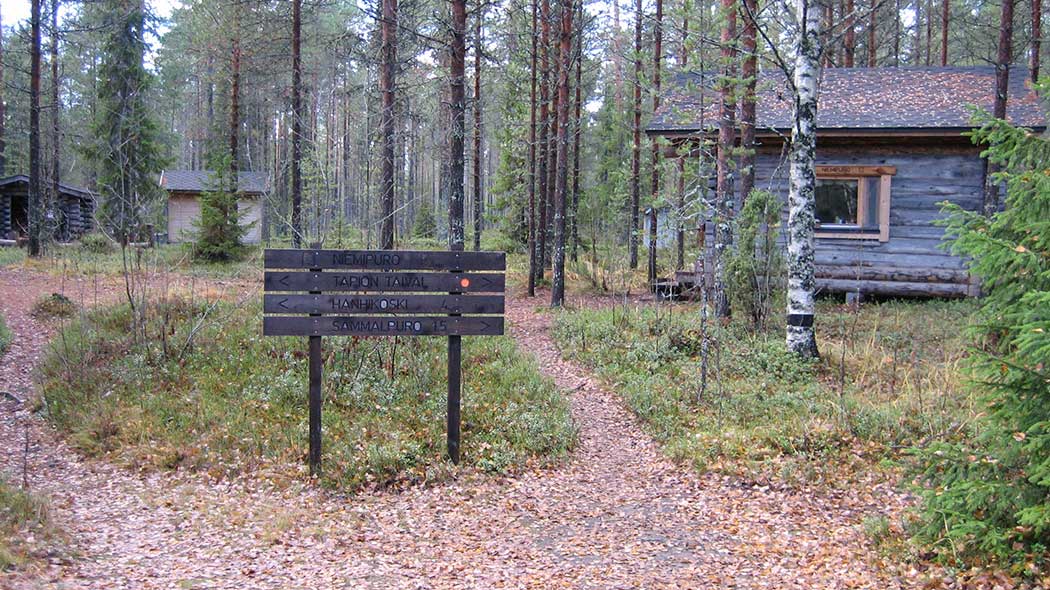 I förgrunden guideskyltar och skogsstigar. I bakgrunden finns träbyggnader i skogen.