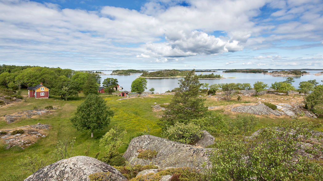 Skärgårdslandskap sommartid. Strandklippor, några trähus och växtlighet.