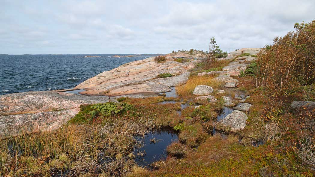 Bergig havskust på hösten.