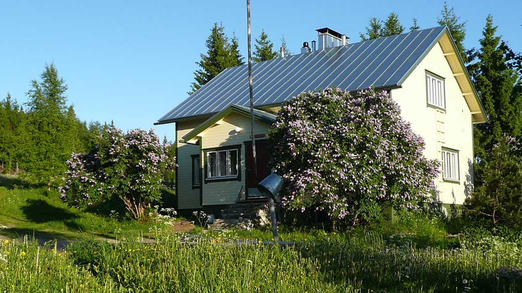 En trähus och dess somriga gård.