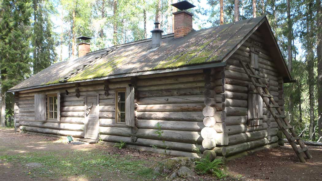 En timmerbyggnad i skogen. En stege i trä lutar mot byggnadens vägg.