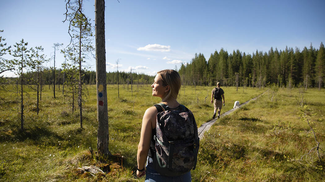 Två vandrare och en hund på leden. Runt träsket och i skogens bakgrund.