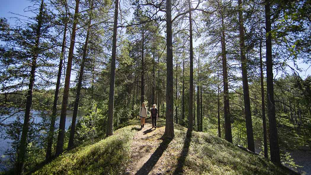 Två vandrare på stigen på åsen. Det finns träd och vatten runt omkring.