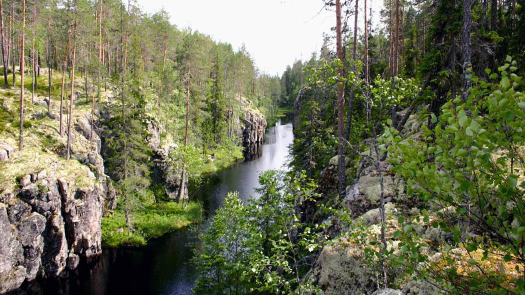 Trädklädda branta klippor tornar upp sig ur älven.