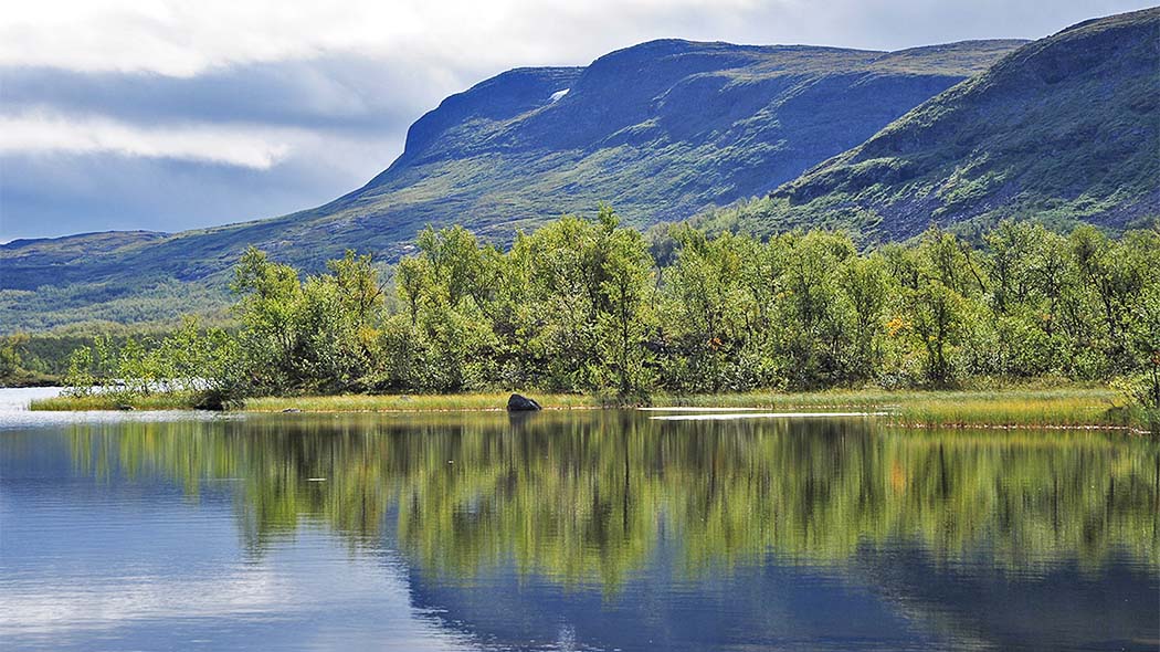 En sommarbild av ett fjäll som reser sig från sjön på en solig dag. Det finns en björk vid foten av fjället, som redan är i full löv.