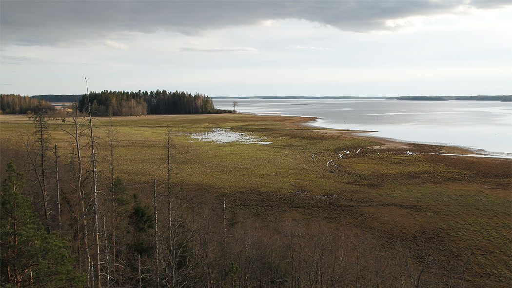 Mietoisvikens strandlandskap