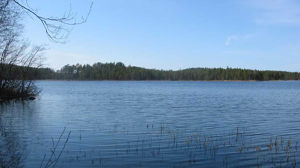 Ett sjölandskap, i bakgrunden finns barrskog och en blå himmel. Till vänster kan lövfria träd ses.