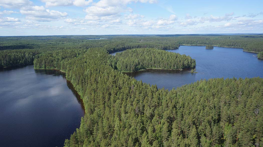 Ett barrskogbeklätt näs som kantas av vatten på båda sidorna. Skogslandskapet sträcker sig till horisonten under en molnig himmel.