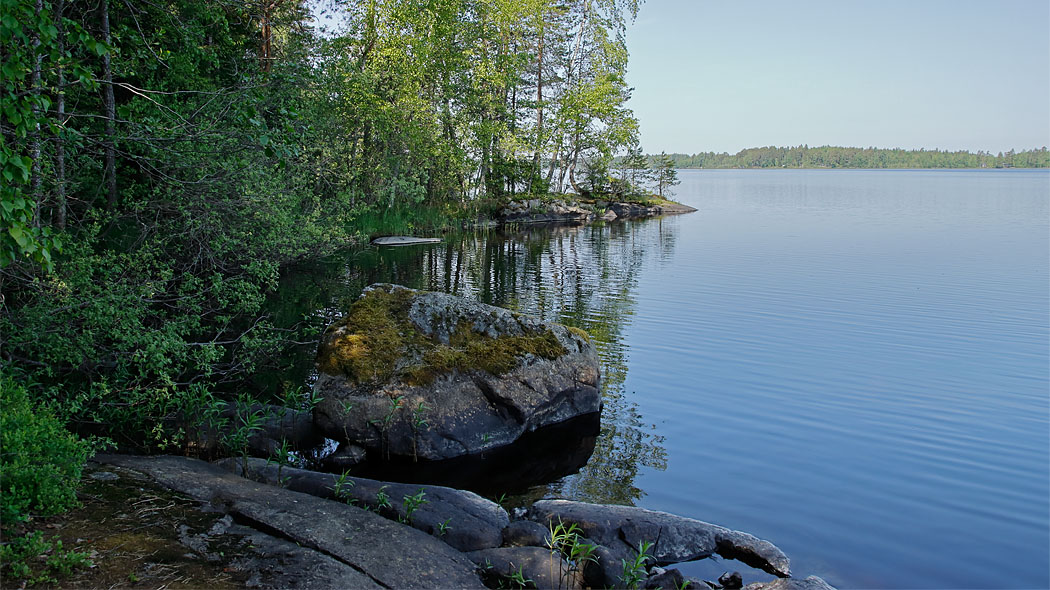 Sjö och strandkantsskog.