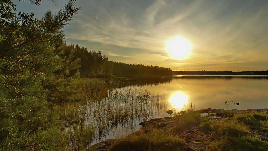 Solnedgången reflekteras i vattenytan. I horisonten finns barrskog och i förgrunden en stenig strand och vass.