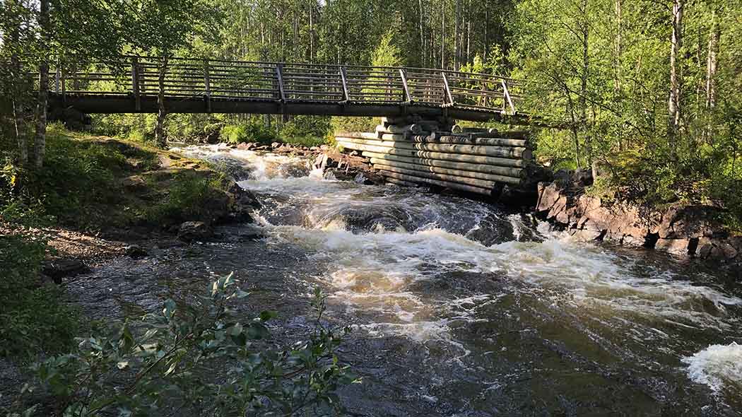 En bro har byggts över den grunda strömmande forsen. Forsen är omgiven av träd.