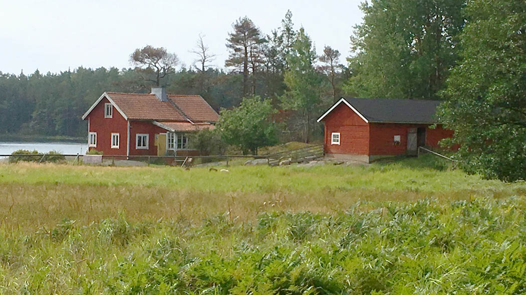 Skärgård. Ett gammalt fiskehemman och en ladugård. Betesmark i förgrunden.