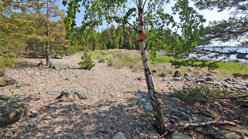 Stigen går mellan strandskogen och sanddynerna. Havet plaskar i bakgrunden.