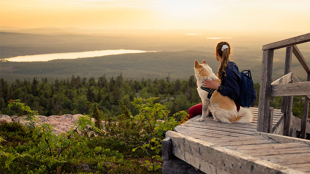 En kvinna med en hund sitter i kvällssolen på trätrappan och tittar på det avlägsna landskapet av skogar och fjäll.